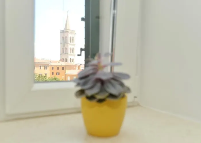 Junona - Poluotok Na Dlanu * Zadar